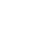 Taxonomy Custom Icon